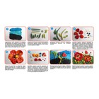 Пластилин 8 цветов, 144 г, ErichKrause "Цветы", стек в подарок, игра рисование пластилином на картоне в подарок - фото 24548885