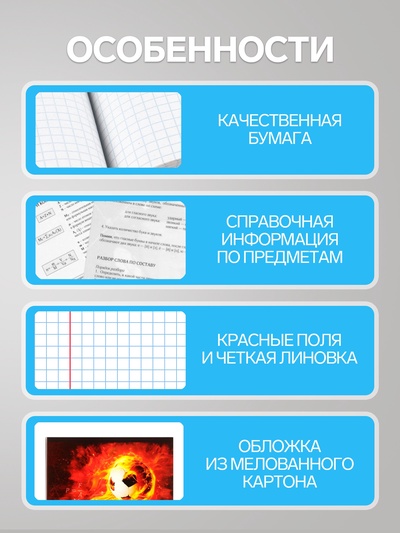 Набор предметных тетрадей Calligrata «Футбол», 10 предметов, 48 листов, со справочным материалом, обложка из мелованного картона, блок офсет