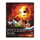 Комплект предметных тетрадей 48 листов "Футбол", 10 предметов, со справочным материалом, обложка мелованный картон, УФ-лак, блок офсет 5927060 - фото 14041142
