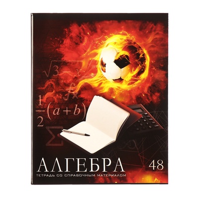 Набор предметных тетрадей Calligrata «Футбол», 10 предметов, 48 листов, со справочным материалом, обложка из мелованного картона, блок офсет