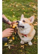 Игрушка текстильная с резиновыми кольцам «Обезьяна», 26×10 см  (артикул 7112300)  большой выбор товаров оптом и в розницу по низким ценам с доставкой