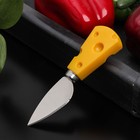 Нож для сыра Доляна Cheese, 12,5 см, цвет жёлтый - фото 9538418