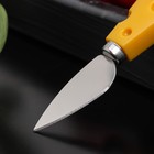 Нож для сыра Доляна Cheese, 12,5 см, цвет жёлтый - фото 4342807