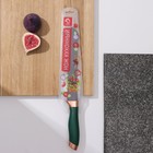 Нож хлебный Доляна «Эсмиральда», хлебный, лезвие 19,5 см, цвет зелёный - фото 24507670