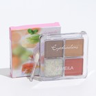 Палетка теней для век, 4 цвета - Фото 1