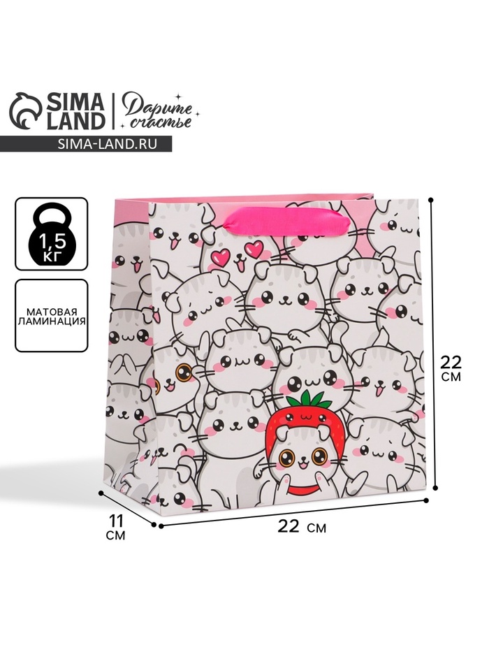 Пакет подарочный ламинированный квадратный, упаковка, «Котики», 22×22×11 см