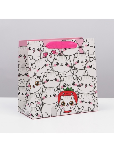 Пакет подарочный ламинированный квадратный, упаковка, «Котики», 22 х 22 х 11 см