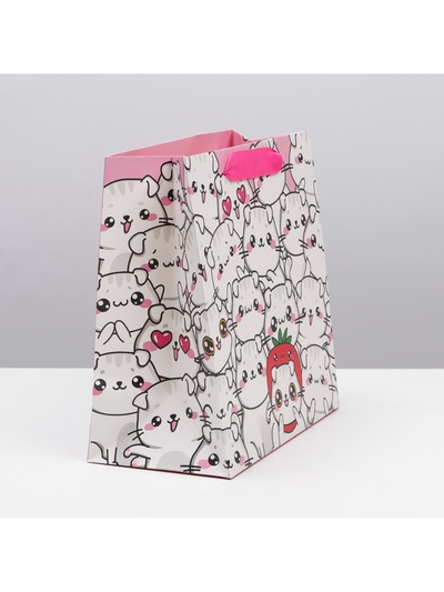 Пакет подарочный ламинированный квадратный, упаковка, «Котики», 22 х 22 х 11 см