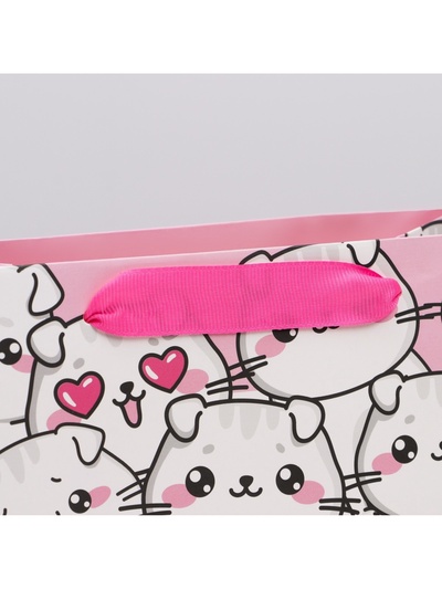 Пакет подарочный ламинированный квадратный, упаковка, «Котики», 22 х 22 х 11 см