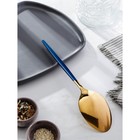 Ложка гарнирная из нержавеющей стали Magistro «Грэйс», h=27,5 см, цвет ручки голубой, цвет головы золотой - фото 24410889