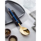 Ложка гарнирная из нержавеющей стали Magistro «Грэйс», h=27,5 см, цвет ручки голубой, цвет головы золотой - фото 24410890