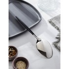 Ложка гарнирная Magistro «Грэйс», h=27.5 см, ручка, чёрная, нержавеющая сталь, чёрная ручка, серебристая 7354122