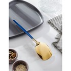 Лопатка из нержавеющей стали Magistro «Грэйс», длина 26 см, цвет ручки голубой, цвет головы золотой - Фото 2