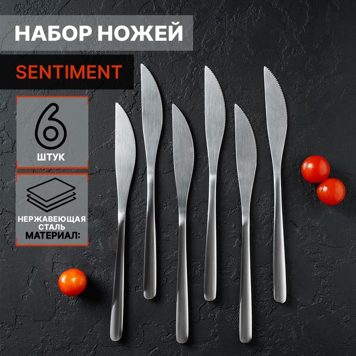 Ножи столовые из нержавеющей стали Доляна Sentiment, длина 23 см, 6 шт, цвет серебряный - фото 1908825437