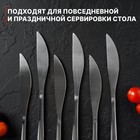 Ножи столовые из нержавеющей стали Доляна Sentiment, длина 23 см, 6 шт, цвет серебряный - фото 4342843