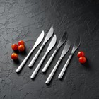 Ножи столовые из нержавеющей стали Доляна Sentiment, длина 23 см, 6 шт, цвет серебряный - фото 4342844