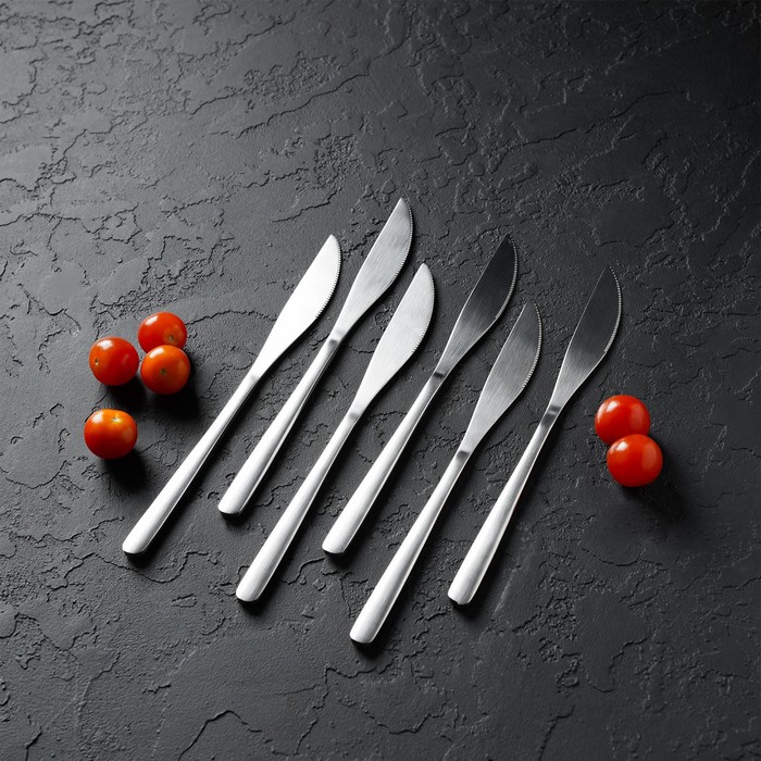 Ножи столовые из нержавеющей стали Доляна Sentiment, длина 23 см, 6 шт, цвет серебряный - фото 1891201612