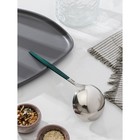 Половник из нержавеющей стали цельнотянутый Magistro «Грэйс», h=24 см, цвет ручки зеленый, цвет головы серебряный 7354161