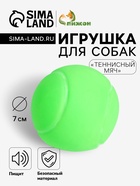 Игрушка пищащая «Теннисный мяч» для собак, 7 см, зёленая - Фото 1