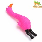 Игрушка пищащая "Фламинго" для собак, 22,5 см, розовая - фото 318755973