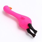 Игрушка пищащая "Фламинго" для собак, 22,5 см, розовая - Фото 3
