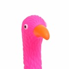 Игрушка пищащая "Фламинго" для собак, 22,5 см, розовая - фото 9195574