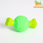Игрушка пищащая "Теннисная кость" для собак, 10 x 5 см, зелёная - фото 16398273
