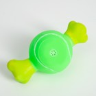 Игрушка пищащая "Теннисная кость" для собак, 10 x 5 см, зелёная - Фото 2