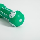 Игрушка-гантель пищащая "Снежинка" для собак, 13 х 5 см, зелёная - Фото 2