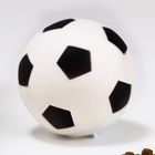 Игрушка-шар под лакомства "Футбол", 8 см, белая - Фото 3