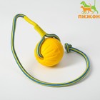 Мяч из EVA на верёвке, для дрессировки, 7 см, жёлтый - фото 9539595