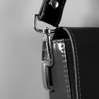 Ручка для сумки лакированная, с карабинами, 60 ± 1 см, цвет чёрный - фото 7181218