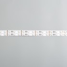 Светодиодная лента 12В SMD5050, 5 м, IP33, 120LED, 28.8Вт/м, 10-12 Лм/1 LED, DC, ТЁПЛЫЙ БЕЛЫЙ - Фото 5