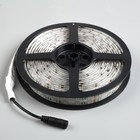 Светодиодная лента 12В, SMD5050, 5 м, IP65, 120 LED, 28.8 Вт/м, 10-12 Лм/1 LED, DC, КРАСНЫЙ - Фото 3