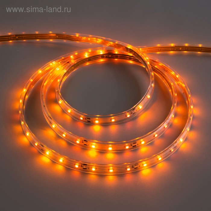 Светодиодная лента 12В, SMD3528, 5 м, IP68, 60 LED, 4.8 Вт/м, 6-7 Лм/1 LED, DC, ЖЁЛТЫЙ - Фото 1