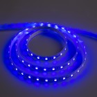 Светодиодная лента 12В, SMD5050, 5 м, IP68, 60 LED, 14.4 Вт/м, 10-12 Лм/1 LED, DC, СИНИЙ - Фото 1