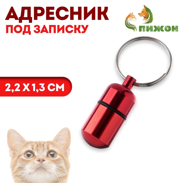 Адресник - капсула под записку, 2.2×1.3 см, металл, бордовый - Фото 1