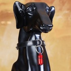 Адресник - капсула под записку, 2.2×1.3 см, металл, бордовый - Фото 6