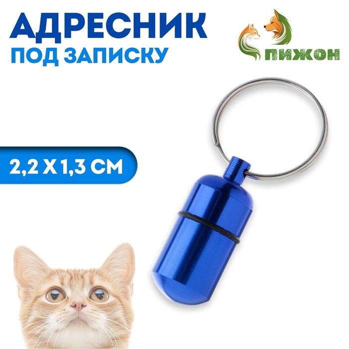 Адресник - капсула под записку, 2.2×1.3 см, металл, синий - Фото 1