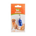 Адресник - капсула под записку, 2.2×1.3 см, металл, синий - Фото 5