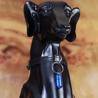 Адресник - капсула под записку, 2.2×1.3 см, металл, синий - Фото 6