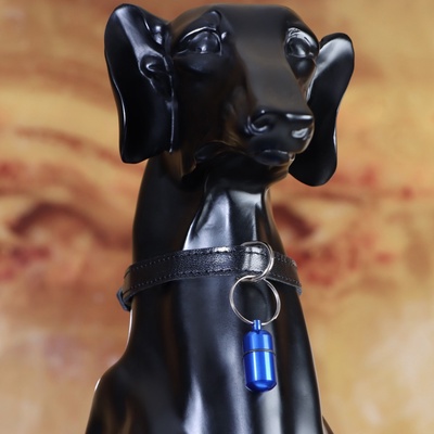 Адресник - капсула под записку, 2.2×1.3 см, металл, синий