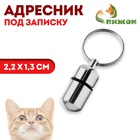 Адресник - капсула под записку, 2.2×1.3 см, металл, серебристый - Фото 1