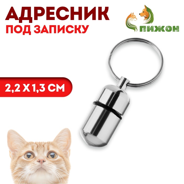 Адресник - капсула под записку, 2.2×1.3 см, металл, серебристый - Фото 1