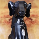 Адресник - капсула под записку, 2.2×1.3 см, металл, серебристый - Фото 6