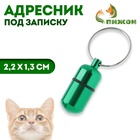 Адресник - капсула под записку, 2,2 х 1,3 см, зелёный - Фото 1