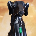 Адресник - капсула под записку, 2,2 х 1,3 см, зелёный - Фото 6