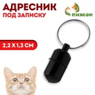 Адресник - капсула под записку, 2.2×1.3 см, чёрный - Фото 1