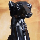 Адресник - капсула под записку, 2.2×1.3 см, чёрный - Фото 6