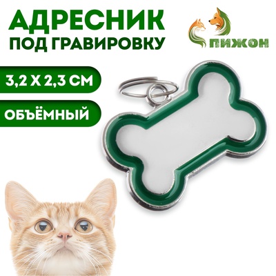 Адресник под гравировку «Косточка», 3.2×2.3 см, объёмный, металл, зелёный